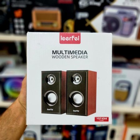 Multimedia wooden speaker
