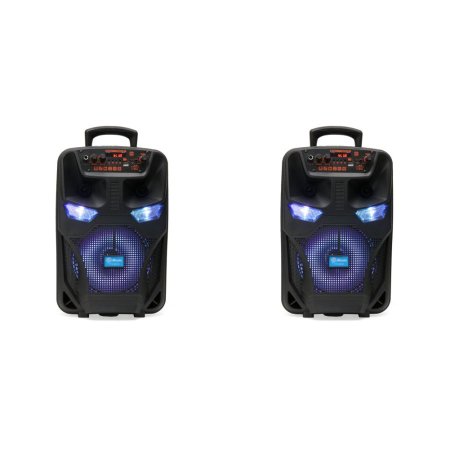 BT-06 6.5 insh speaker